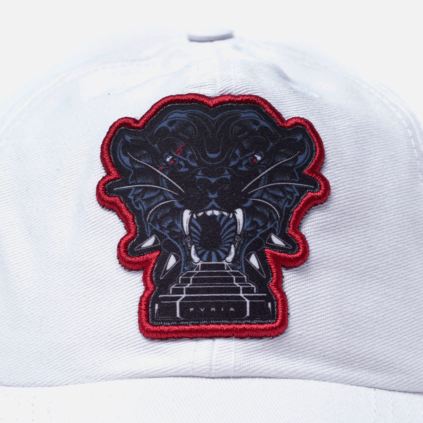 Boné Dad Hat Furia Magic Panthera Off White
