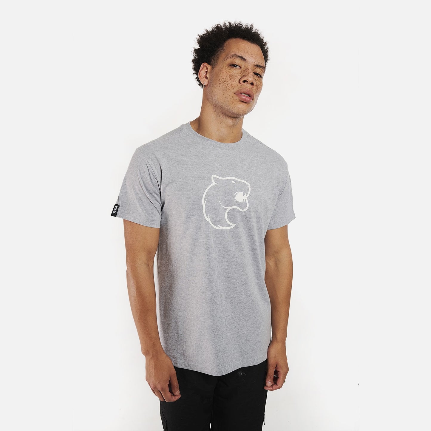 Camiseta Furia Classic 2 Cinza Mescla